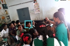 Gachibowli-Mandal-Parishad-Primary-School-Hyderabad-11