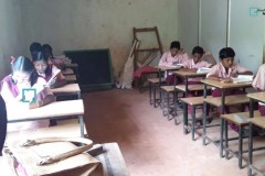 Bastar-5